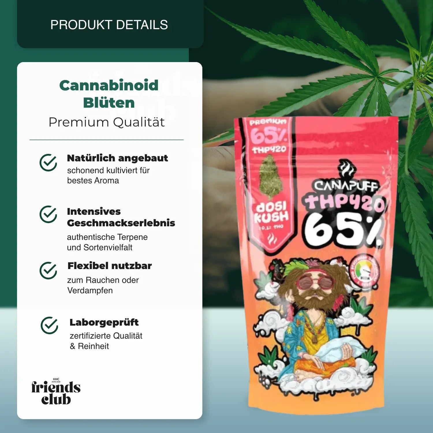 THP420 Blüten Dosi Kush 65% Canapuff - hhcfriends