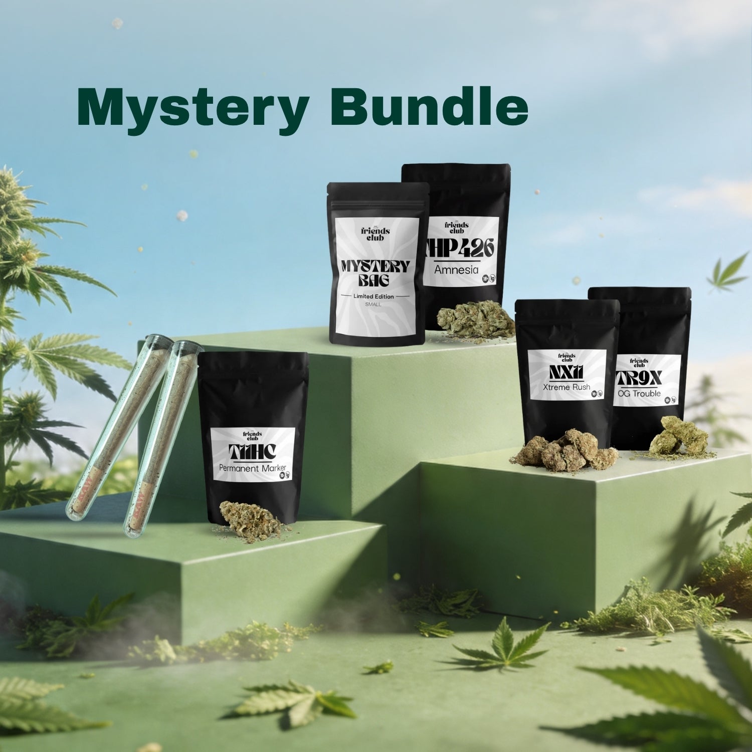 Friends Mystery Blüten und Pre-Roll Bundle